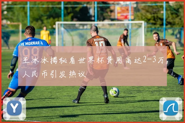 王冰冰揭秘看世界杯费用高达2-3万人民币引发热议